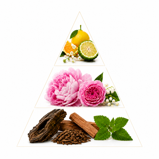 Comprendre les pyramides olfactives : Notes de tête, de cœur et de fond