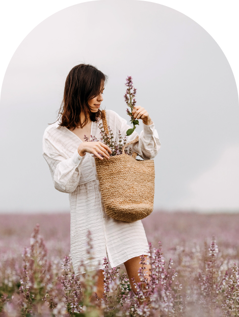 Femme se promenant et ramassant des fleurs dans un champ de lavande