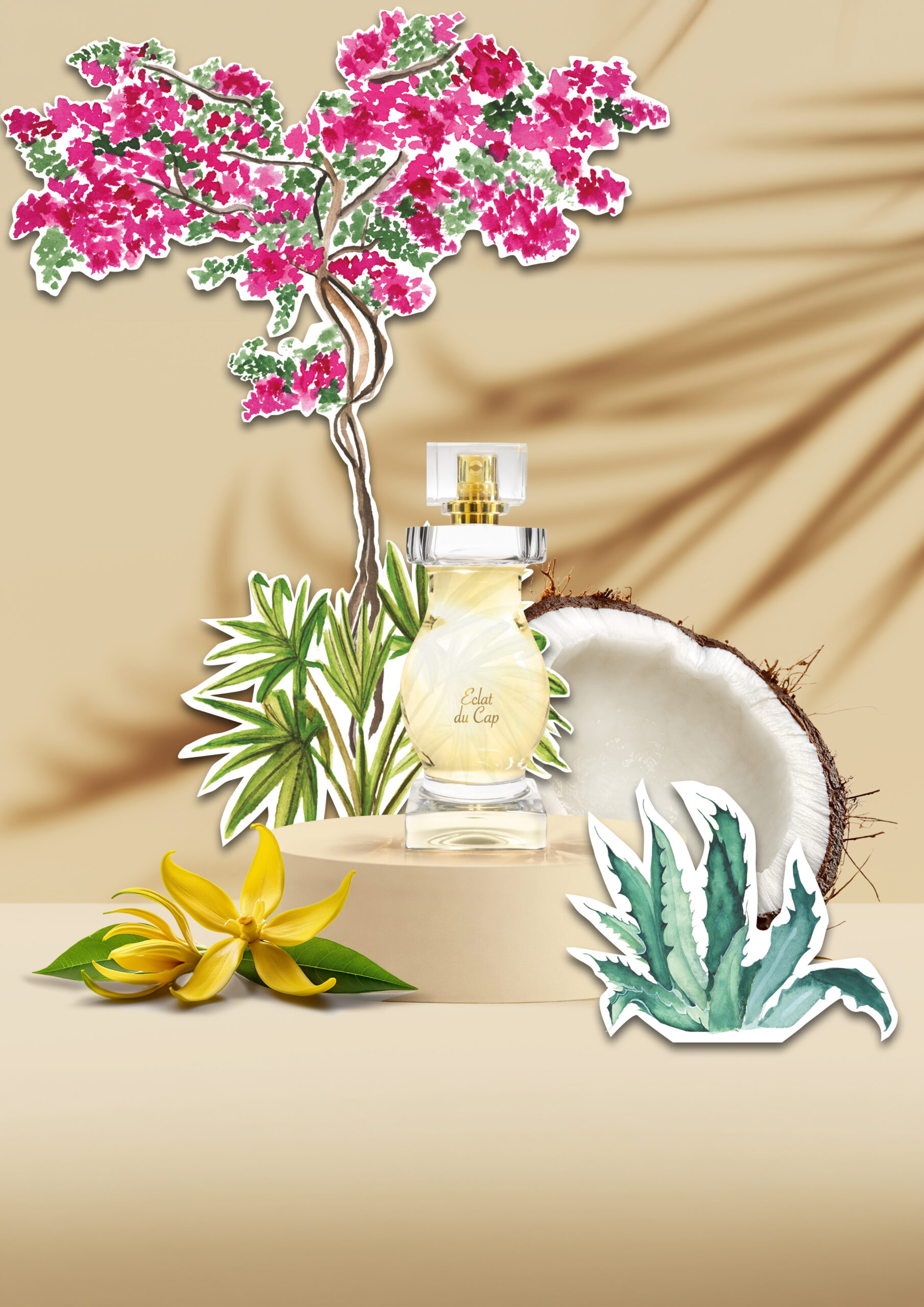 Eclat du Cap